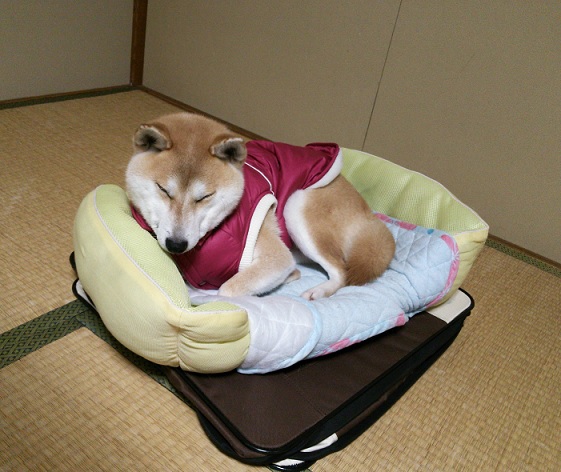 f0230777_20511551.jpg