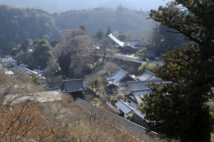 f0108478_11344383.jpg
