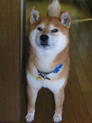 f0181394_16405251.jpg