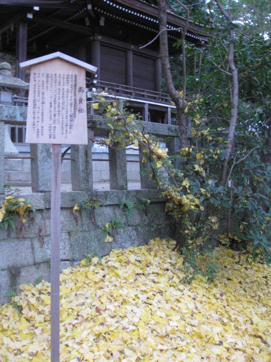 f0010195_0281991.jpg