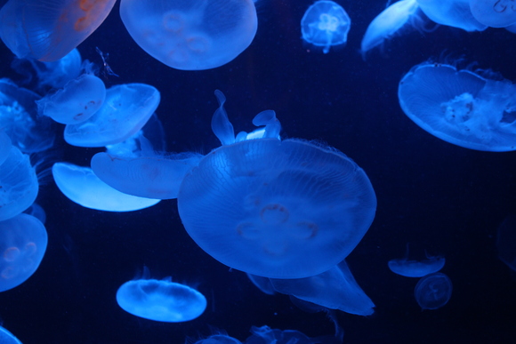 f0307097_20113618.jpg