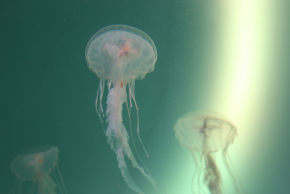 f0307097_2013573.jpg