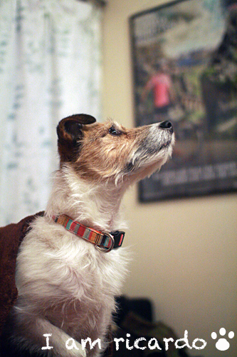 d0150704_2204883.jpg