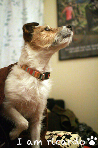 d0150704_2205814.jpg
