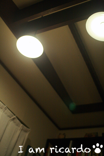 d0150704_221372.jpg
