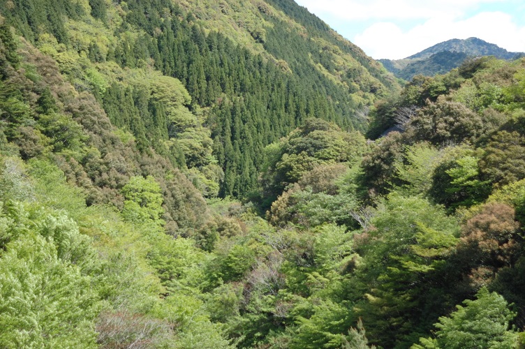 e0258208_2191799.jpg