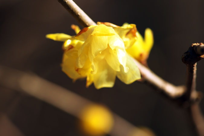 a0263109_2011279.jpg
