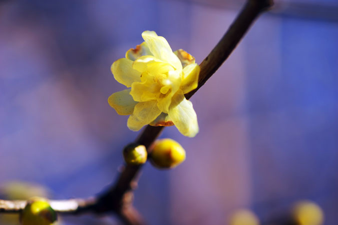 a0263109_2012366.jpg