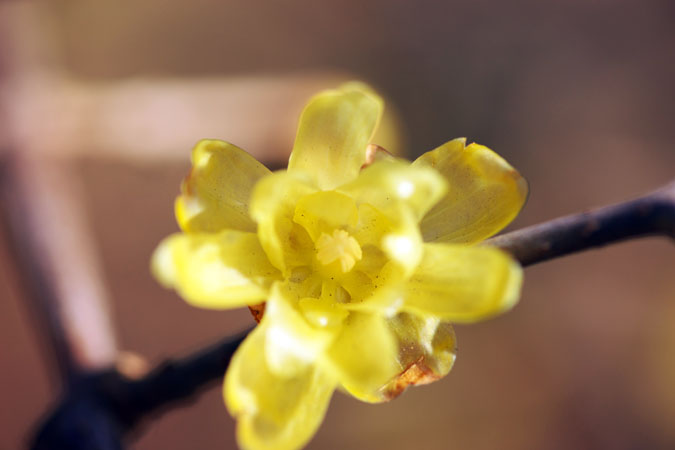 a0263109_201426.jpg