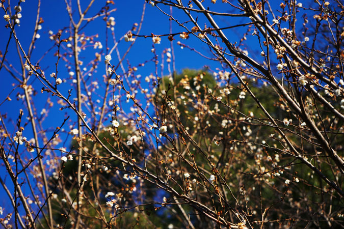 a0263109_20152165.jpg