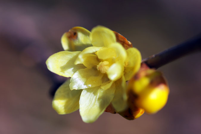 a0263109_20154231.jpg