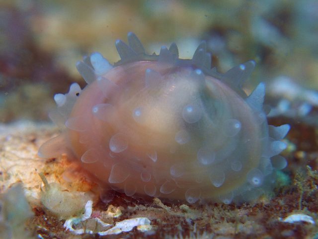 d0175710_17542447.jpg