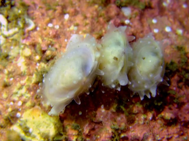 d0175710_17543460.jpg