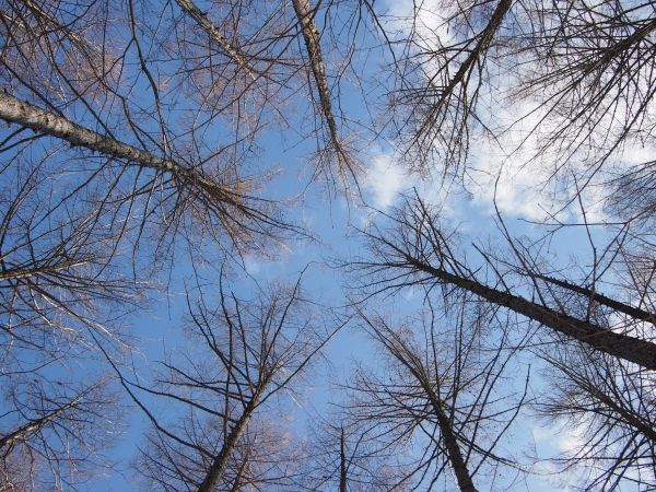 b0244811_15171430.jpg