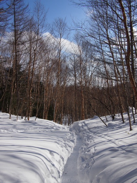 b0244811_1527130.jpg