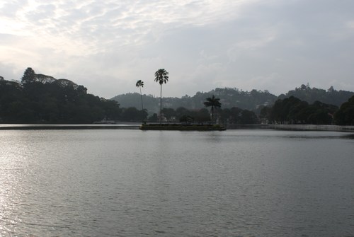 a0163227_1502184.jpg