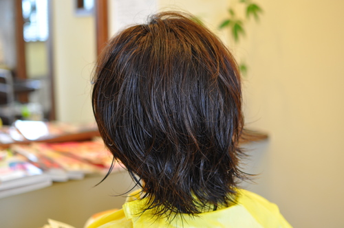 e0254028_11381522.jpg