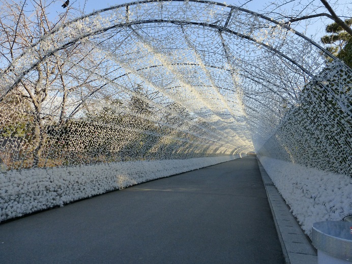 b0138430_10103673.jpg
