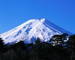 f0034334_11552899.jpg