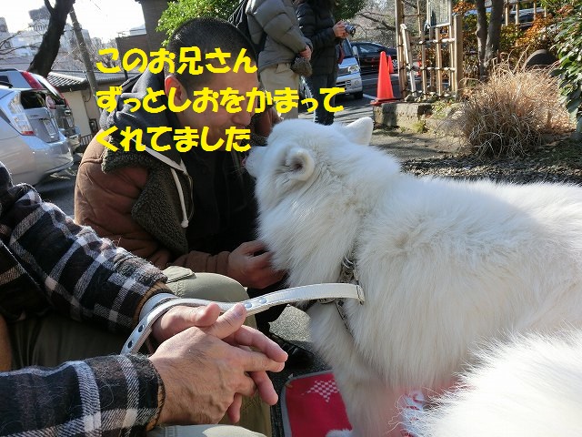 e0196135_20354378.jpg