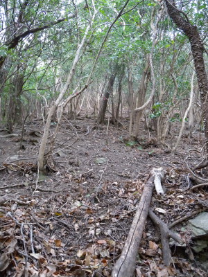 e0272335_5145392.jpg