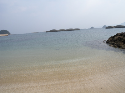 e0272335_539543.jpg