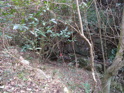 e0272335_57372.jpg