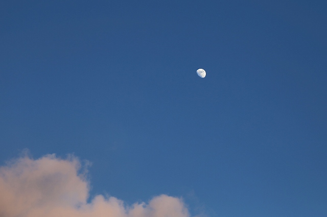 a0242438_2045635.jpg
