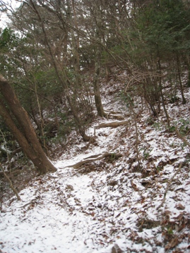 c0077338_21444995.jpg