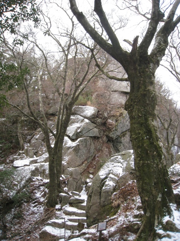 c0077338_21445493.jpg