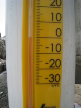 c0077338_21451871.jpg