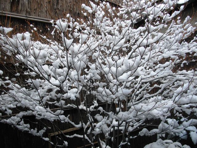 e0230141_948693.jpg