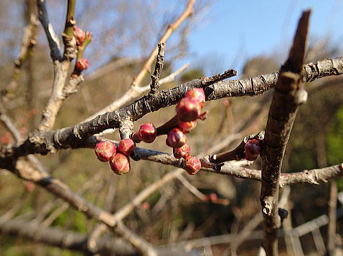f0094843_2164092.jpg