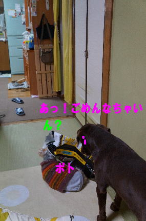 d0013645_15223128.jpg