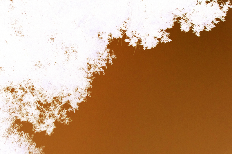 d0018646_2328386.jpg