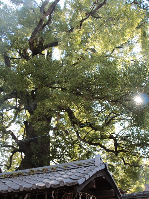 e0017051_22155950.jpg