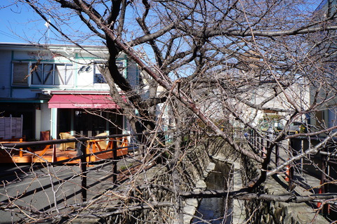 c0206352_21155778.jpg