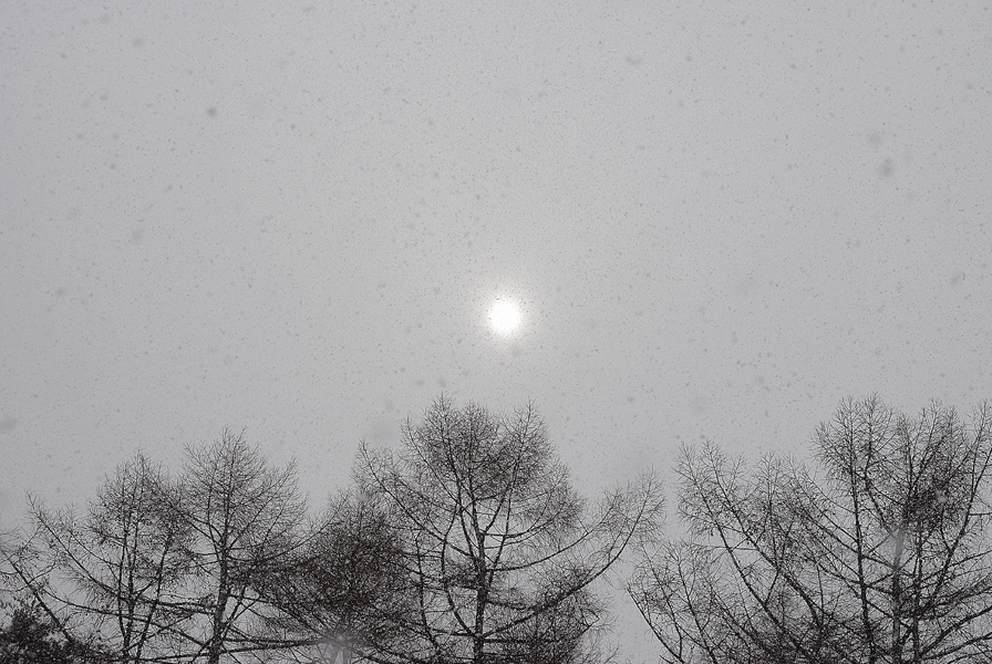 a0001354_19452577.gif