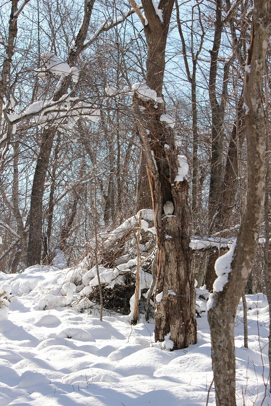 b0250154_17234918.jpg