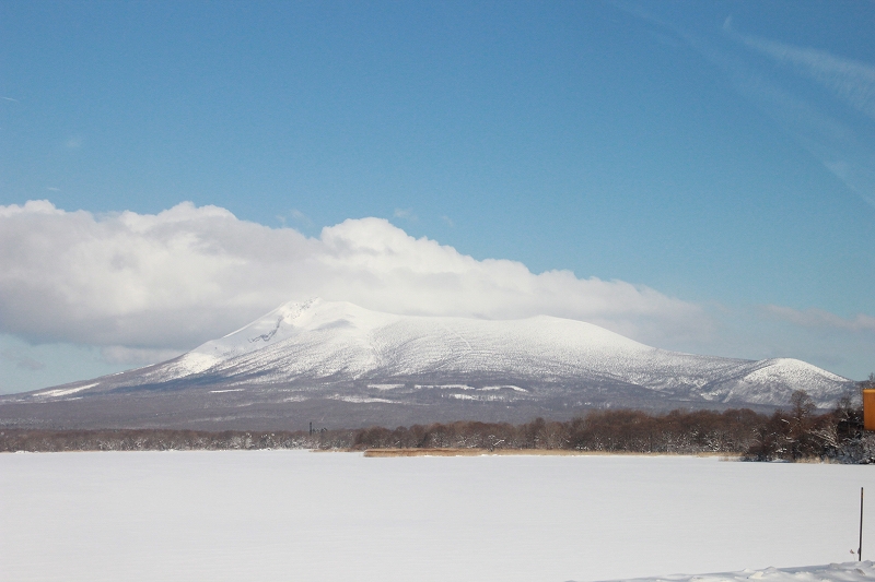 b0250154_1729387.jpg