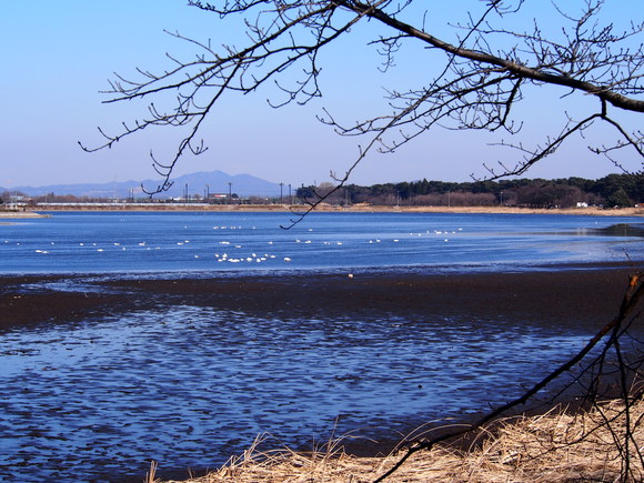 b0191775_122723100.jpg