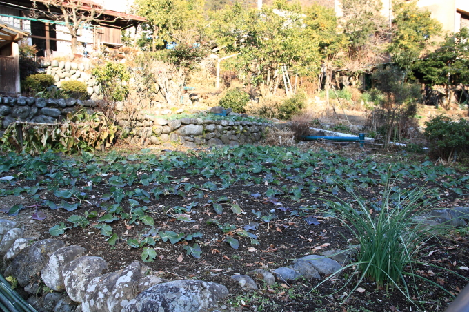 d0225575_15213612.jpg