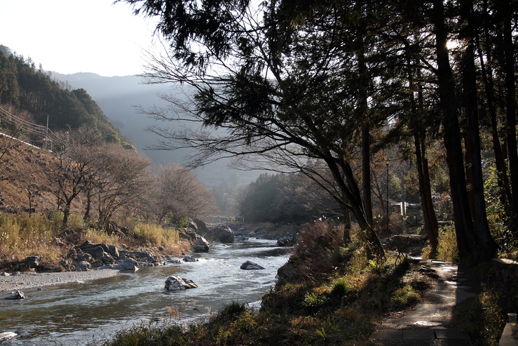 d0225575_1551105.jpg
