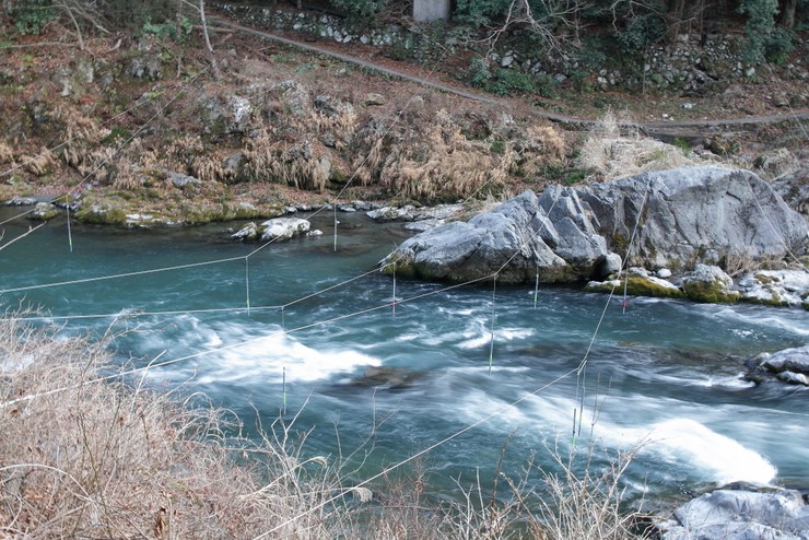 d0225575_169381.jpg