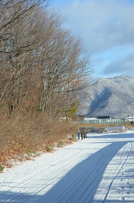 a0158478_10532541.jpg