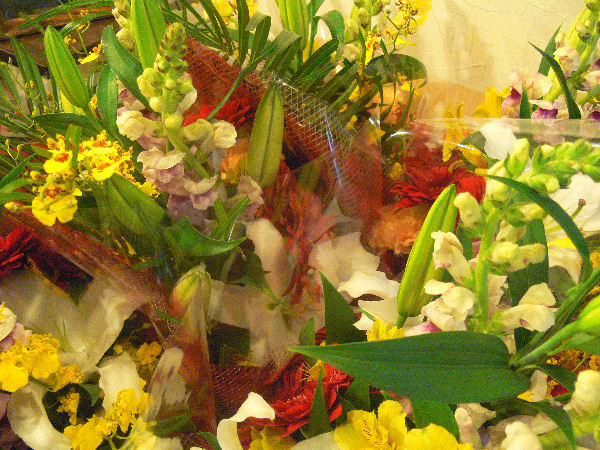 e0140986_1113532.jpg