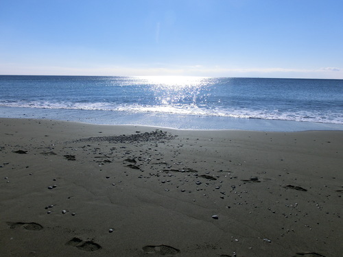 e0123587_1184457.jpg