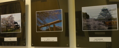 b0192588_11354988.jpg