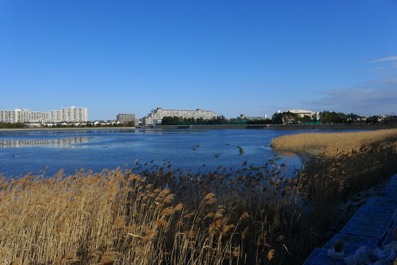 a0127090_1122182.jpg
