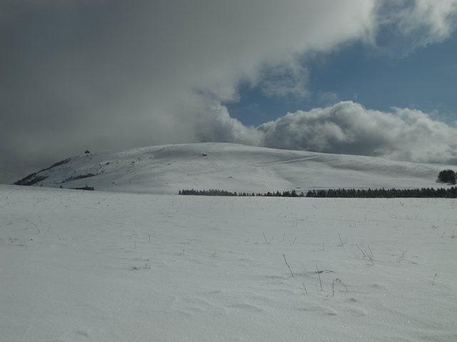 e0271890_00104695.png